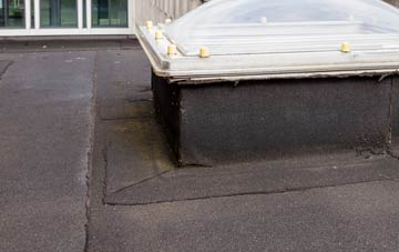disadvantages of Alfold Bars flat roofs