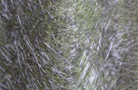 Alfold Bars fibreglass roof work